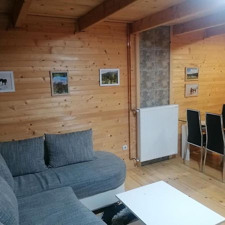 Zlatibor Brvnara Mirヴィラ エクステリア 写真